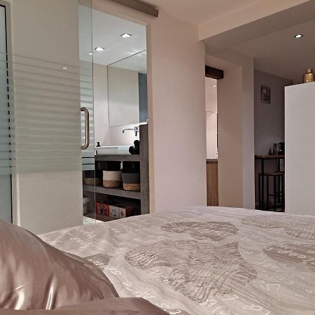 Boigne Sweet Suite Шамбери Екстериор снимка